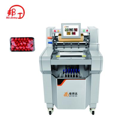 China New and beautiful structure meat packaging machine beef jerky packaging machine film packaging machine for sale