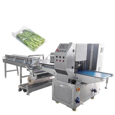 China New and beautiful modified structure product packaging machine tofu packaging machine atmosphere packaging machine for sale