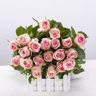 China Natural Amazon Hot Selling 2023 Cut Flowers Rose Wedding /Mothers Day Gifts Decoration Fresh Color Plants for sale