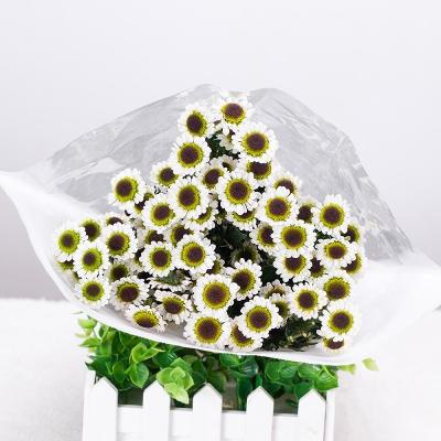 China Natural Wholesale Floral Dry Foam Blocks Contact Cut Flower Bud Chrysanthemum Wedding Decor Color Fresh Plants for sale