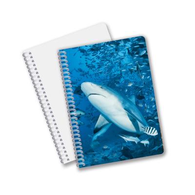 China Hot Selling School Stationery 3D Lenticular Printing Diary Notebook for Souvenir for sale