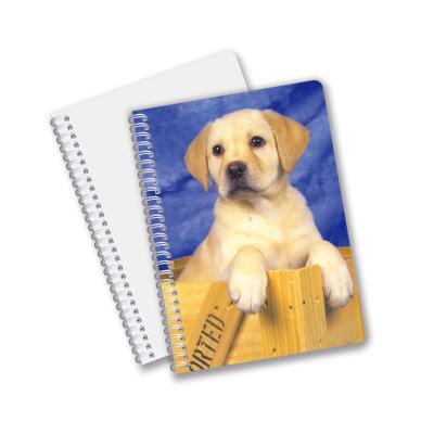 China China Factory 3D Lenticular Custom Offset gedruckte PET A3 / A4 / A5 / A6 Notebooks zu verkaufen