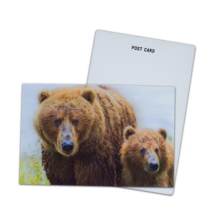 China Oso marrón en Alaska Tarjeta lenticular Tarjeta de regalo para turistas Tarjetas postales en 3D en venta