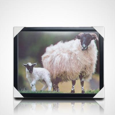 China Persoonlijke 3D PET Lenticulaire Poster Printing 3D Schilderen met Zwart PS Frame voor Home Decor Te koop