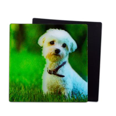 China Perritos encantadores Magnetos 3D Lenticular 3D Magnetos de nevera Para regalo de recuerdo en venta