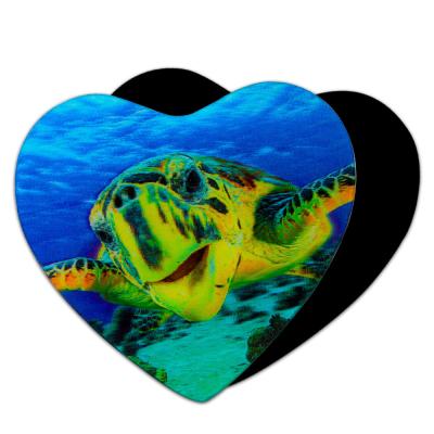 China 3D Magnets Sealifes Dolphin Shark Turtle Lenticular Printing Card For Gifts for sale