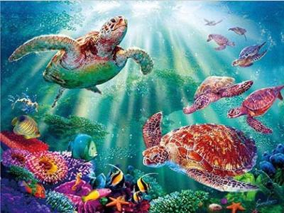 China Sealifes Dolphin Turtle Shark Lenticular 3D Motion Card Souvenir Gift Card for sale