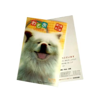 China New Style 3D Lenticular Printing Lenticular sheet Lenticular Greeting Card for sale