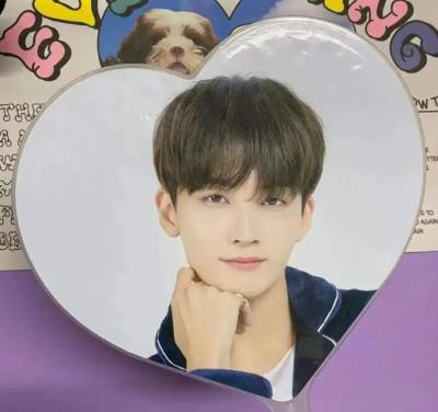 China Custom KPop Event Fan For Gift Custom plastic PET Transparent 3D Fan for sale