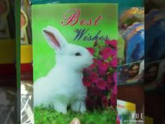 Custom 3D Cards Lenticular Postcard Animated Invitation Cards