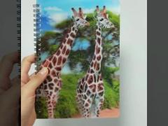 3D Lenticular Notebook