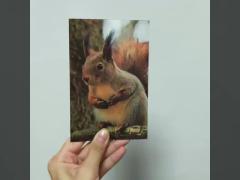 Kids Gifts Dinosaur card 3d Animation Picture 3D Postcard Moving Cards