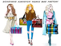 the introduce for PP BAG FACTORY