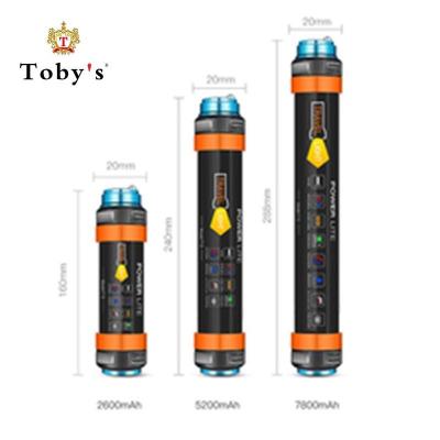 China Camping Fishing Emergency 2023 Brand new smart headlamp side led lamp potable toby's outdoor camping light for sale