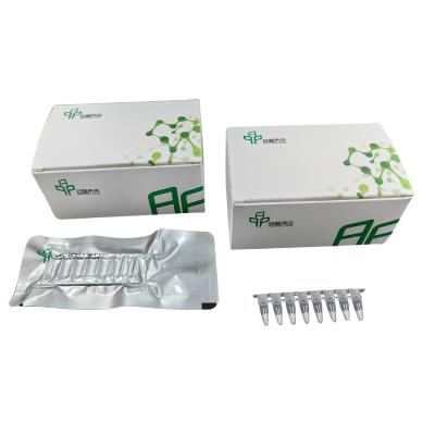 China Rapid Isothermal Nucleic Acid Amplification Kit für den Laborgebrauch zu verkaufen