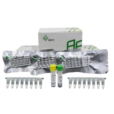 China High-Fidelity DNA Isothermal Amplificatie Kit 20 minuten Te koop