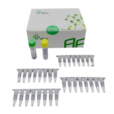 China Effectieve DNA EXO isothermale PCR-kit voor betrouwbare detectie Te koop