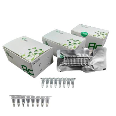 China Rapid RNA Nucleic Acid EXO Isothermal Amplification Kit für den Laborgebrauch zu verkaufen