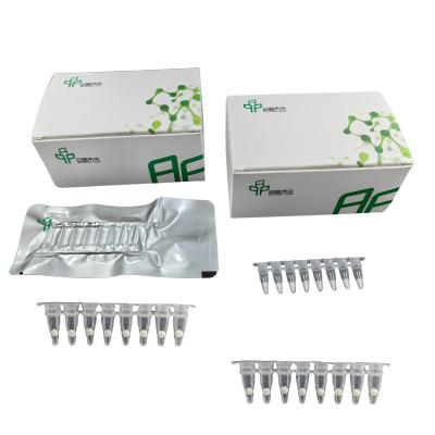 China Basis-RNA isothermische PCR-kit met hoge nauwkeurigheid en efficiëntie Te koop