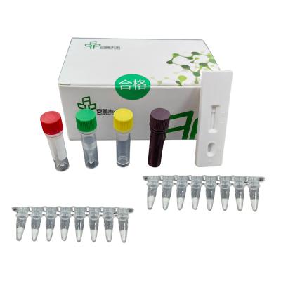 China Diagnostiek Respiratoire adeno-virus isothermale pathogeen testkits Te koop