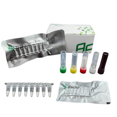 China Zimmertemperatur Mycobacterium Tuberkulose PCR-Kit zu verkaufen