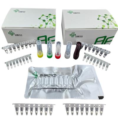 China EXO H Pylori detectie kit met isothermische fluorescentiedetector Te koop