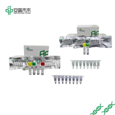 China RPA Isothermal Amplification Kit freeze-dried powder zu verkaufen