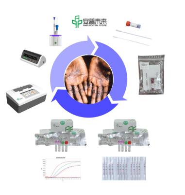 China O kit de amplificação isotérmica de ADN ultra sensível detecta até os níveis mais baixos à venda