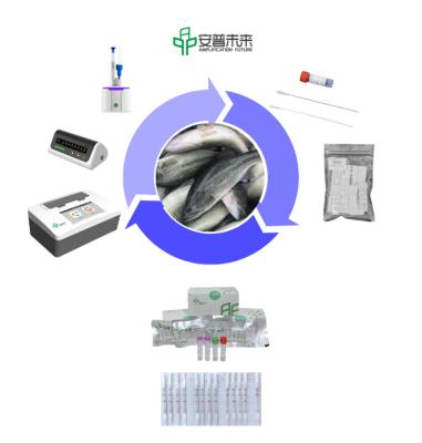 Chine Kit d'amplification d'ARN à haute sensibilité à base d'enzymes à vendre