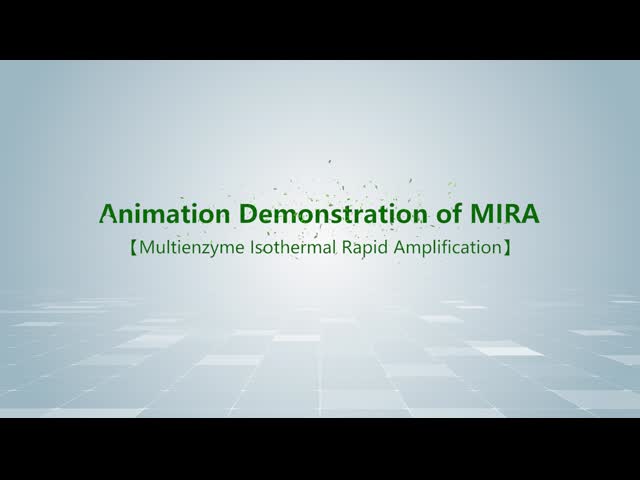 MIRA Technical Principle