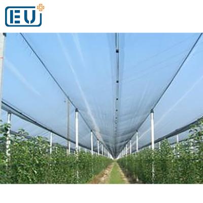 China HDPE With Stablizer UV Windproof Hail Protection Net/Plastic Grape Growing Anti Hail Mesh/Big Vegetable Plastic Canopy Material for sale