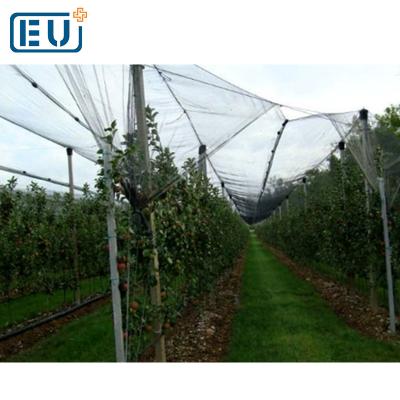 China HDPE With Stablizer UV White Anti Acid And Alkali Hail Guard Netting, Grapes Farming Large Top Covers Anti Growing Tent Hail Net For Sale for sale