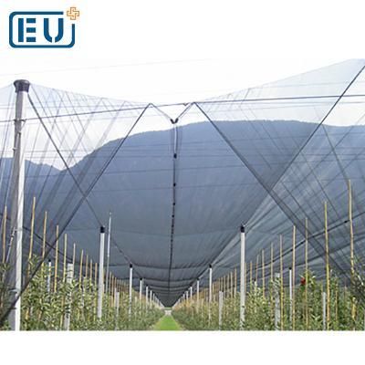 China HDPE With Stablizer Joyeyou Hail Protection Net Net Various Supply Anti Hail Netting Professional UV Hail Guard for sale