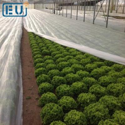 China HDPE with Stablizer 38grm Winter Greenhouse Antifreeze UV ​​Plastic Blanket Cover for Plants Trees Flowers Seedlings Vegetables Citrus Succulents for sale