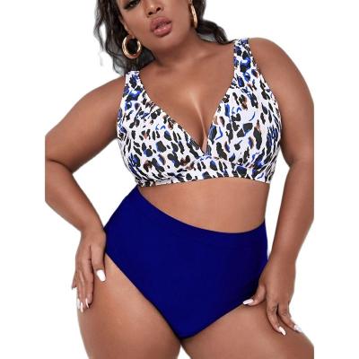 China Large Plus Size Women's Bikini High Waist Swimwear Women Swimsuit Custom Made Antibacterial Leopard Push Up Bikini for sale