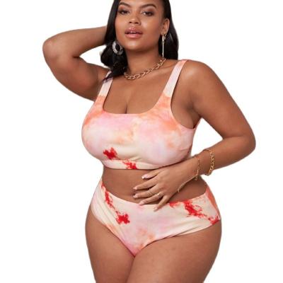 China Plus Size Plus Size Bikini High Waisted Swimsuit High Waisted Swimsuit Big Sizes Women Two Piece Swimwear for sale