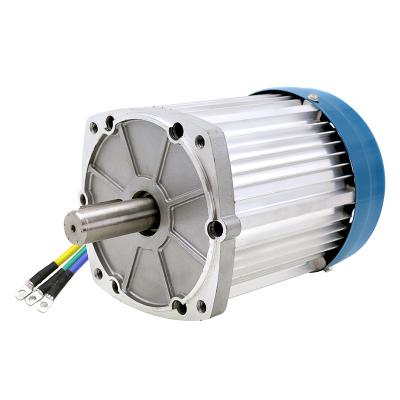 China 48V 60V 72V 3300RPM Drip Proof Large Torque E Tricycle 4 Wheeler BLDC Powerful Motor for sale