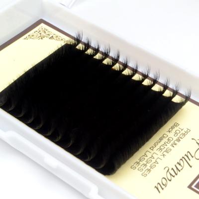 China Full Volume Eyelash Extensions Rays Lash Extensions Easy Fanning Premium Lash Extensions Supplies Lash Extension for sale