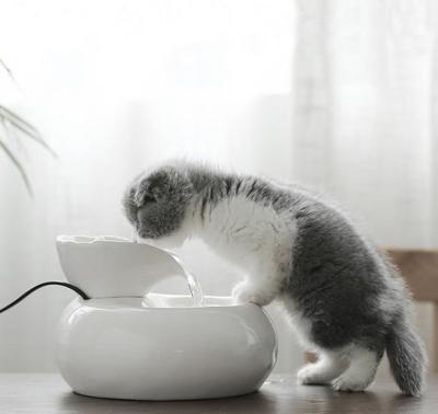 China Automatic Pet Automatic Ceramic Basin Fountain Smart Water Fountain Cat Drinking Bottle 3D Automatic Water Dispenser for sale