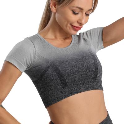 China Breathable Fashion Link Dye Gradient Workout Yoga Shorts Sleeve Crop Tops Seamless Gradient Fitness Yoga Tops for sale