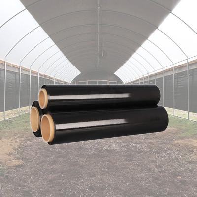 China Good Black Strawberry Greenhouse Pe Film Garden Flower Agricultural Greenhouse Shading Plastic Garden Film for sale