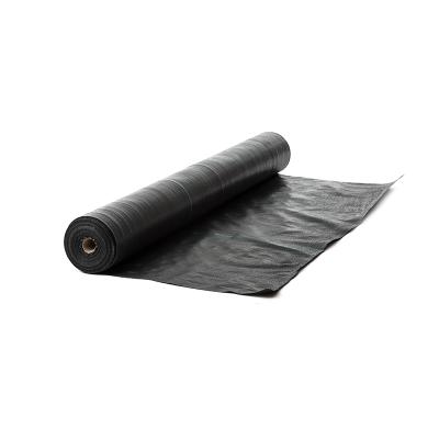 China Preventing Weeds Growing Plastic Weed Control Fabric Mat Ground Cover PP Weed Barrier For Weed Suppression for sale