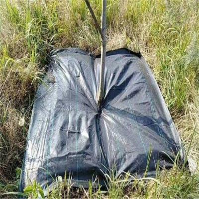 China Weed Prevention Growing Plastic Weed Control Cloth Mat Plant Cover PP Weed Block Cloth for sale