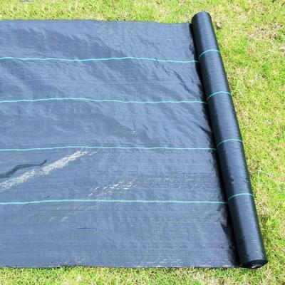 China High denstity weaving agricultural weed barrier control mat fabric to prevent weed breeding for sale