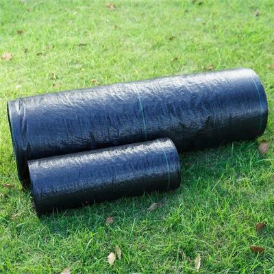 China High Denstity Plastic Weed Mat Black Weave Ground Cover for sale