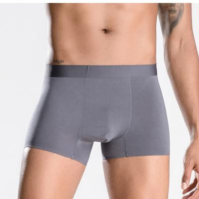 China Hotsales antibacterial in amazon modal soft fabric luxury strip daily used underwear for men boxer brief for sale