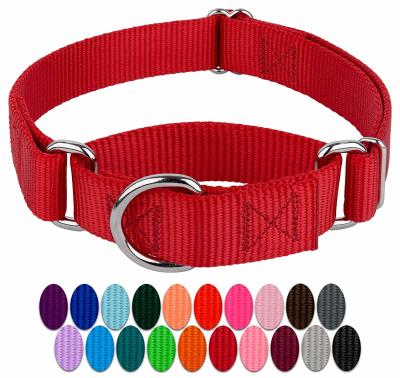 China Easy On Off Durable Nylon Buckle Dog Collars for sale