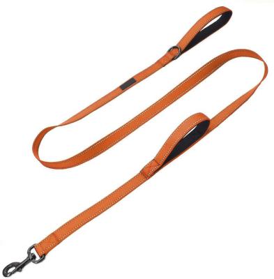 China Double Handle Reflective Nylon Dog Leash for sale