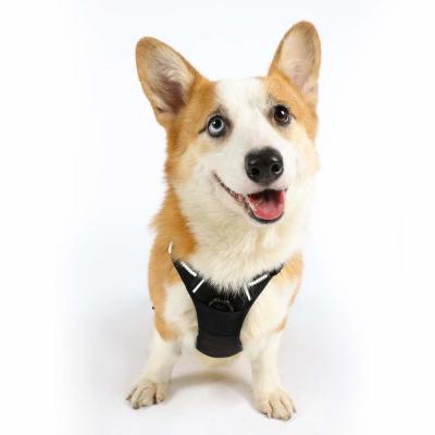 China Air Padded Mesh Nylon Dog Harness With Sturdy Top Handle for sale