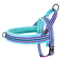 China Light Weight Nylon Dog Harness Well Constructed Comfortable Wearing Safety Walking for sale